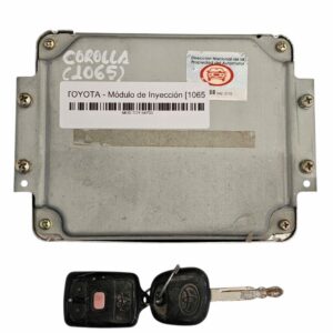 Módulo de Inyección [1065]