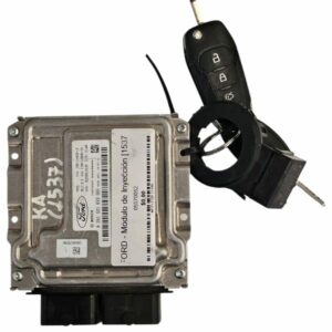 Módulo de Inyección [1537]