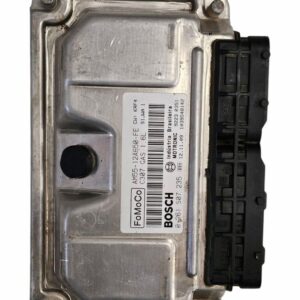 Módulo de Inyección [976]