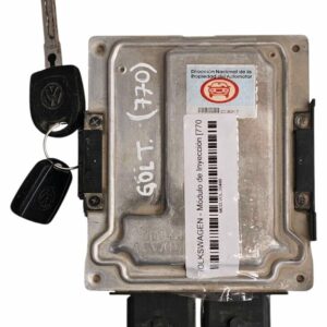 Módulo de Inyección [770]